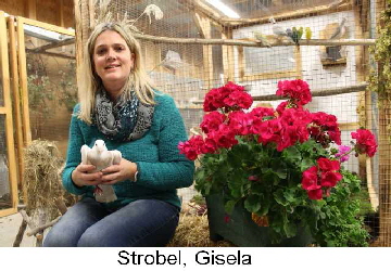 Strobel__Gisela